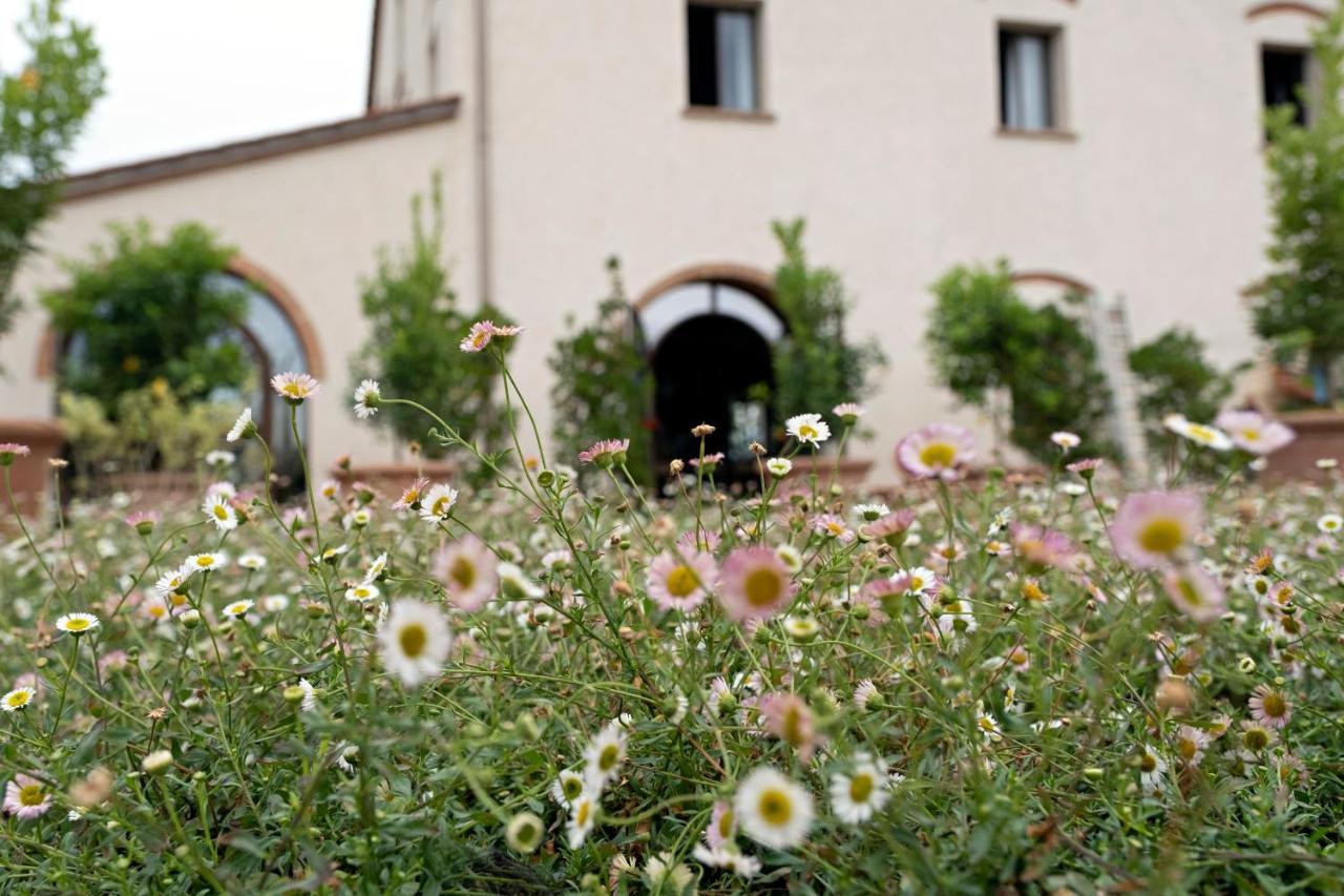 Paradis Agricole Pietrasanta Bagian luar foto