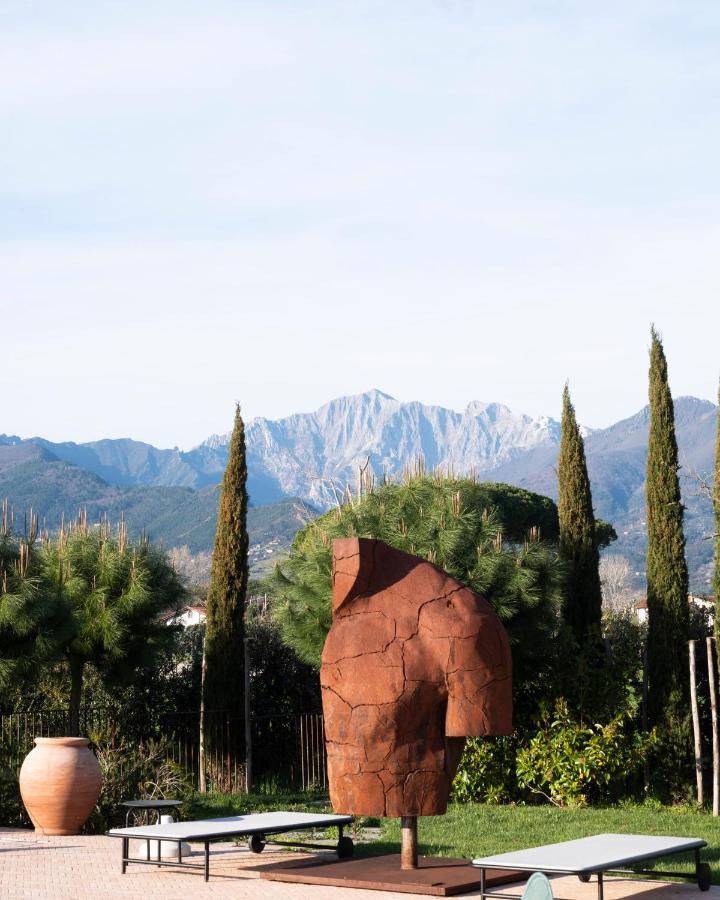 Paradis Agricole Pietrasanta Bagian luar foto
