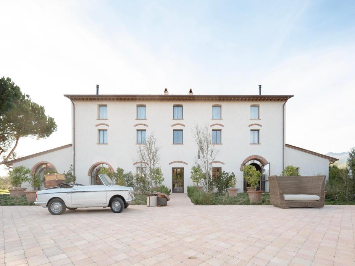 Paradis Agricole Pietrasanta Bagian luar foto
