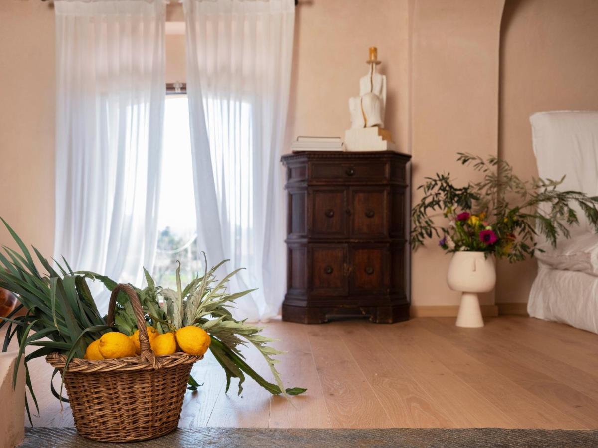 Paradis Agricole Pietrasanta Bagian luar foto